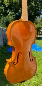 Violin — back plate arching